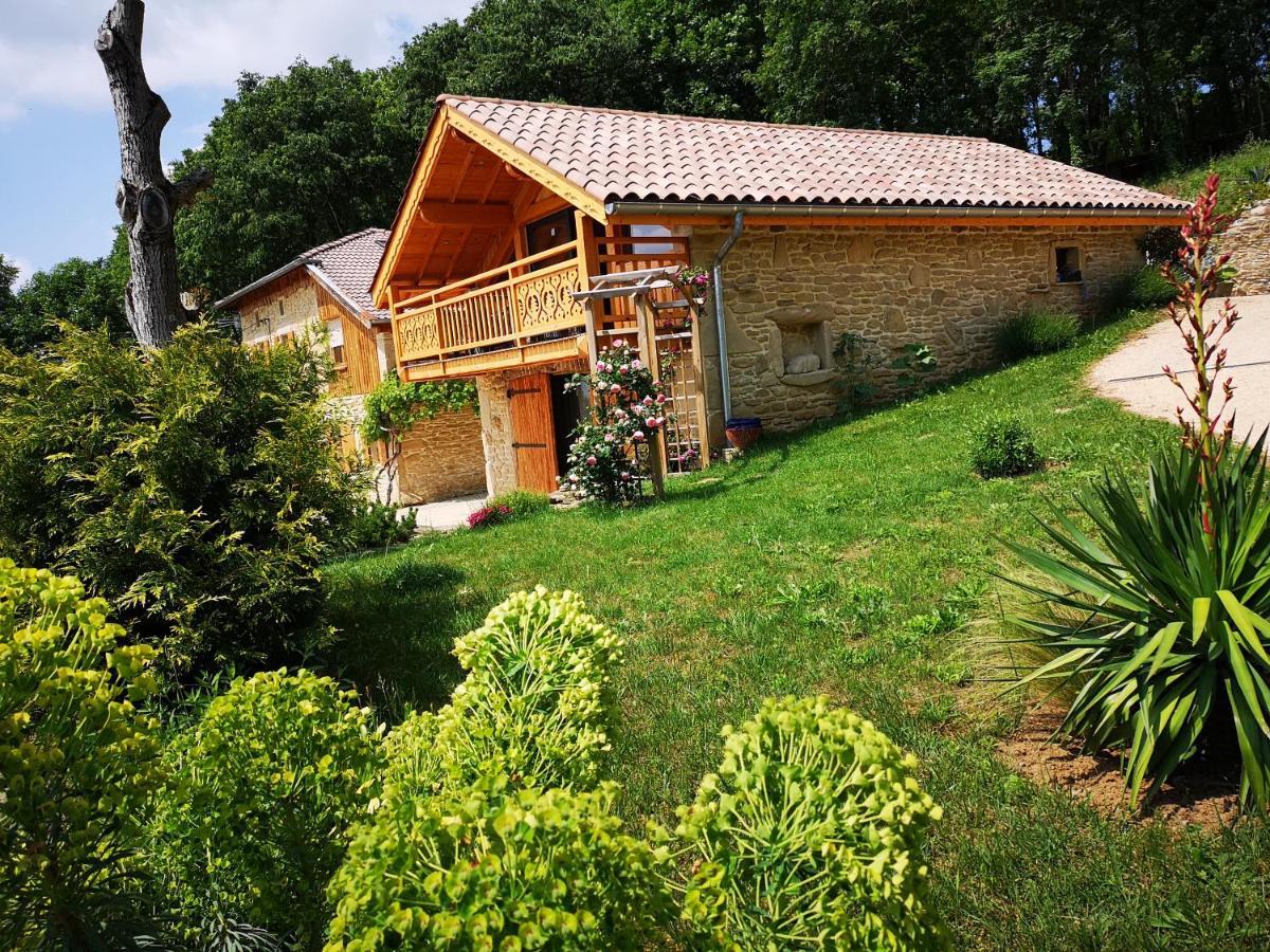 Chalet Le Clos De L'Orme Saint-Lattier ภายนอก รูปภาพ