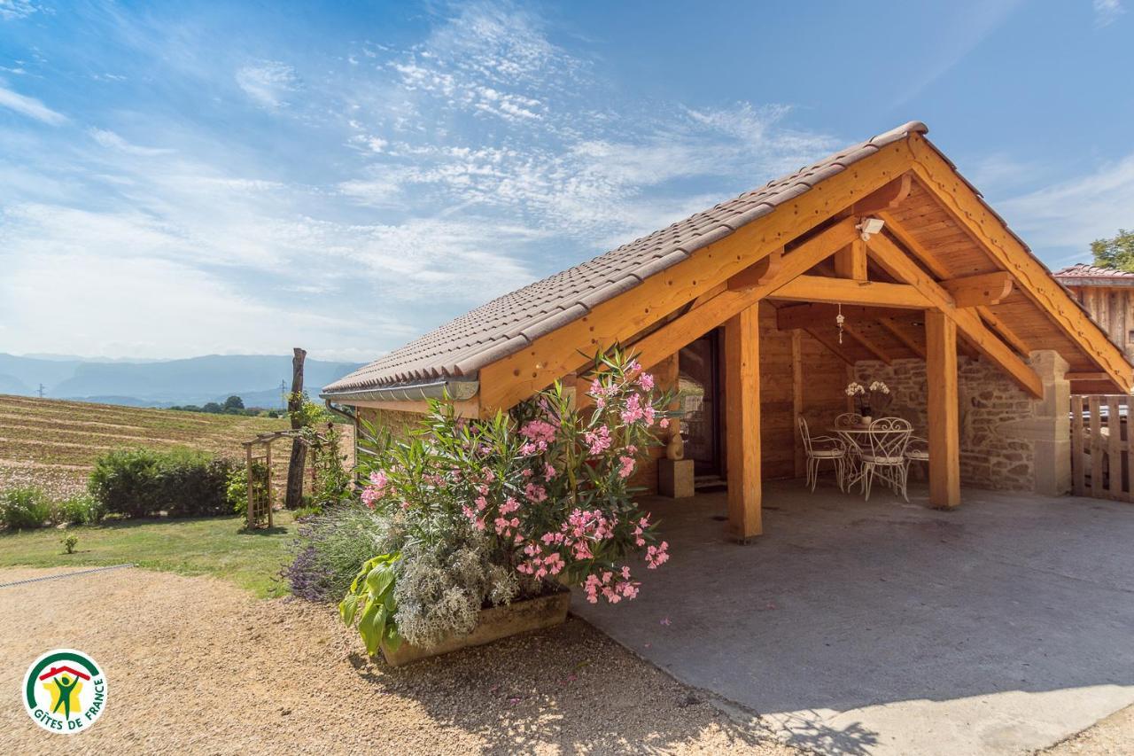 Chalet Le Clos De L'Orme Saint-Lattier ภายนอก รูปภาพ