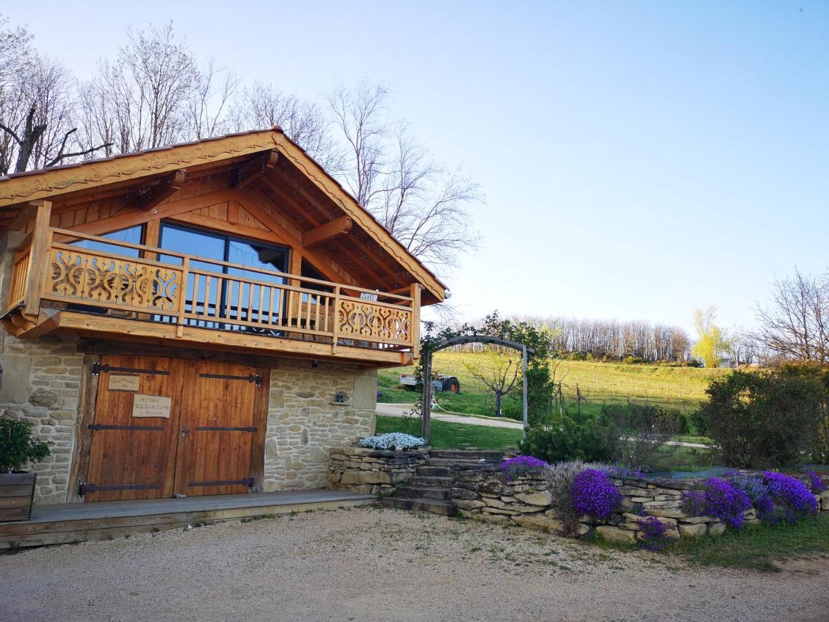 Chalet Le Clos De L'Orme Saint-Lattier ภายนอก รูปภาพ